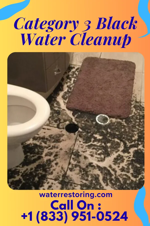 Category 3 Black Water Cleanup in Fairview, CA